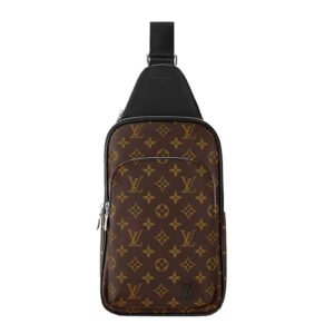 Louis Vuitton bags PM LV Avenue