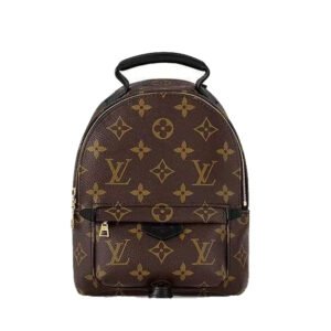 Louis Vuitton bags Mini LV Palm Springs
