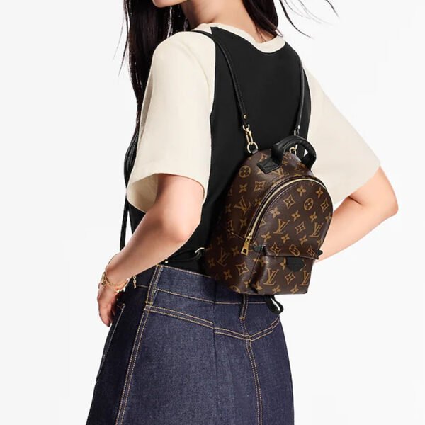 Louis Vuitton bags Mini LV Palm Springs