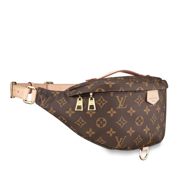Louis Vuitton bags LV Bumbag Bum