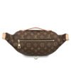 Louis Vuitton bags LV Bumbag Bum
