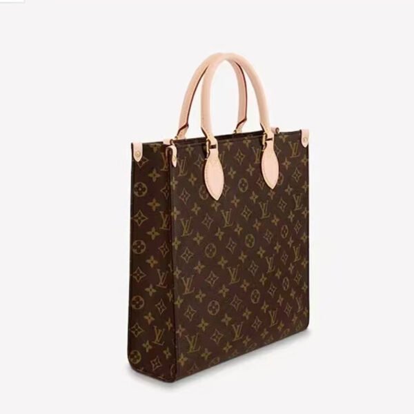 Louis Vuitton bags LV Sac Plat Medium